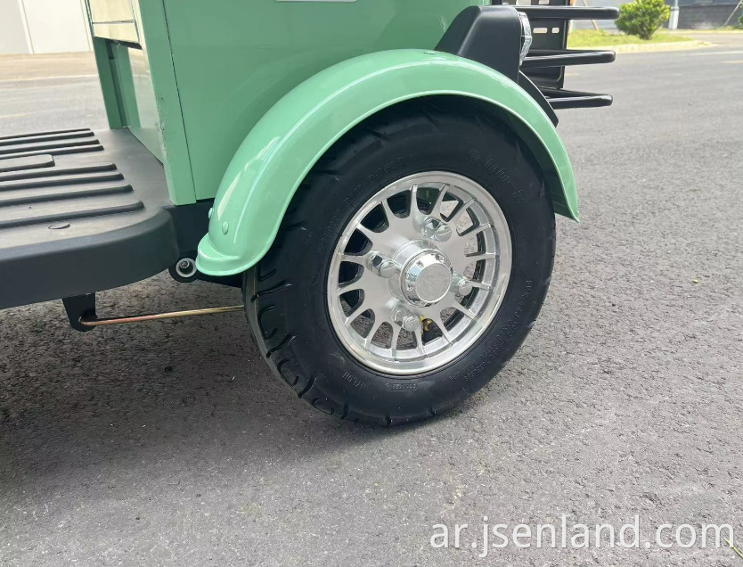 2 Passenger Electric Tricycle